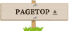 PAGETOP